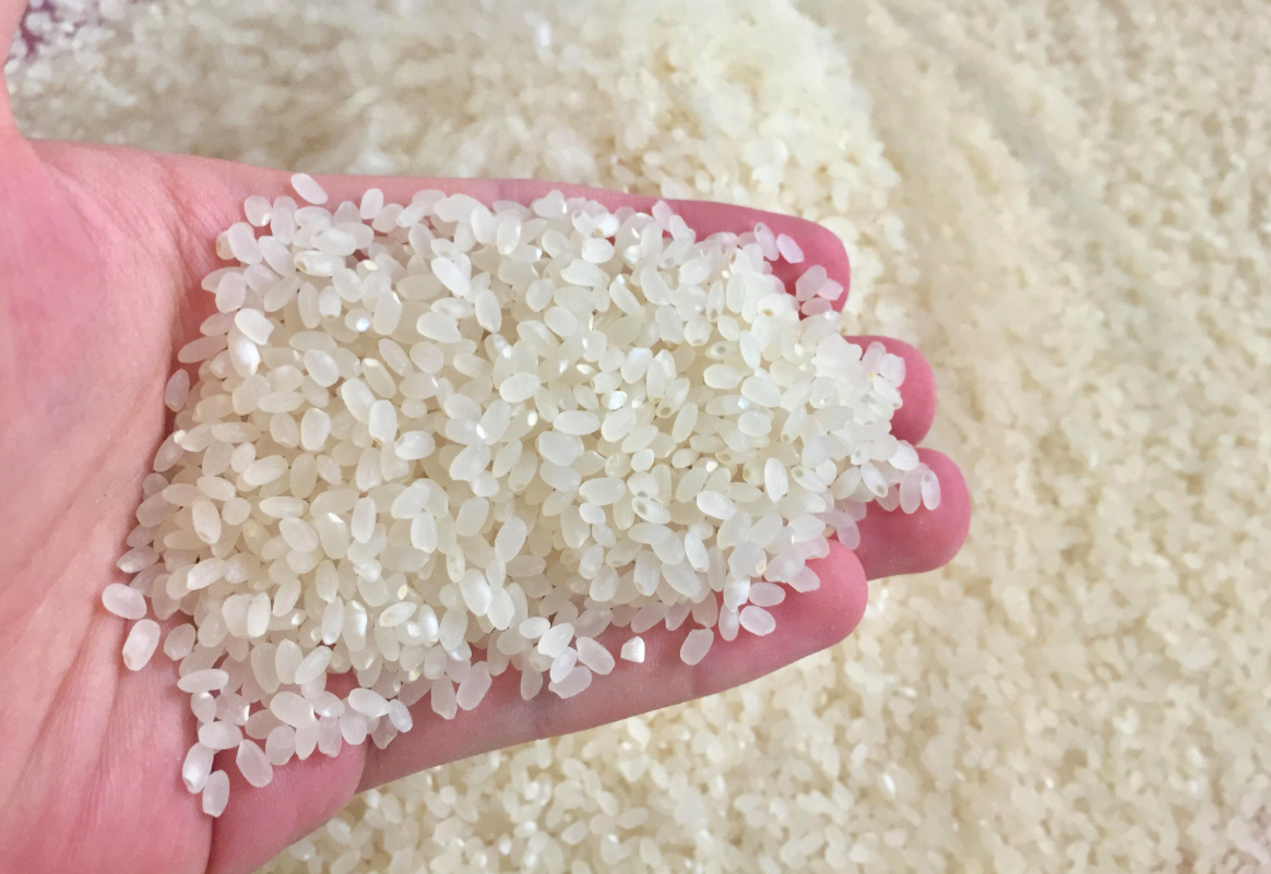 Tín hiệu vui từ gia tăng giá trị hạt gạo Việt Nam  VTVVN
